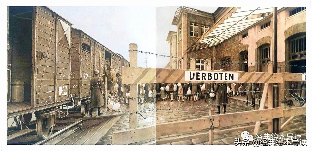 大卫之星书籍 (大卫之星导读书)