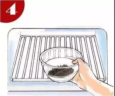 海参蒸蛋海参泡发的正确方法,海参咬不动海参泡发的正确方法