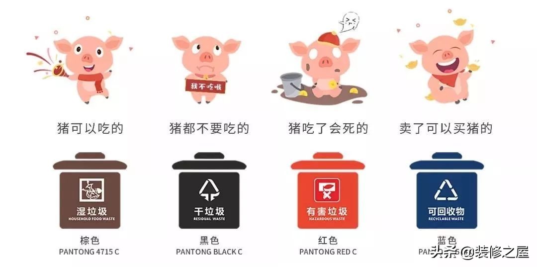 垃圾分类现场测试看看你能得几分,垃圾分类测试技巧