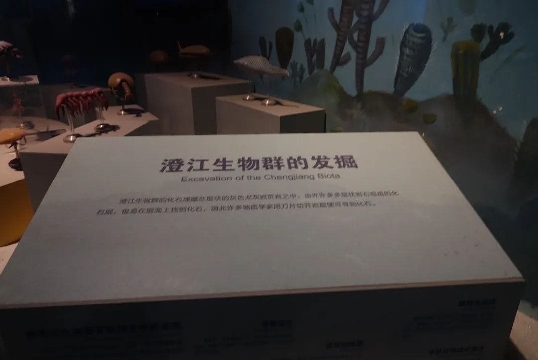 昆明一日游,昆明一日游攻略带女朋友