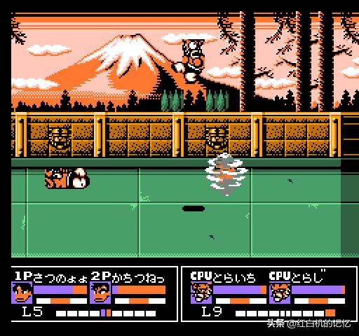 热血格斗详细解析,热血格斗深度解析