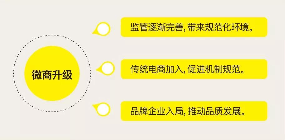 盘点2019微商、会员电商、内容电商、直播带货综合影响力Top10