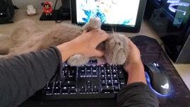 买switch还要买什么配件,switch配件选购