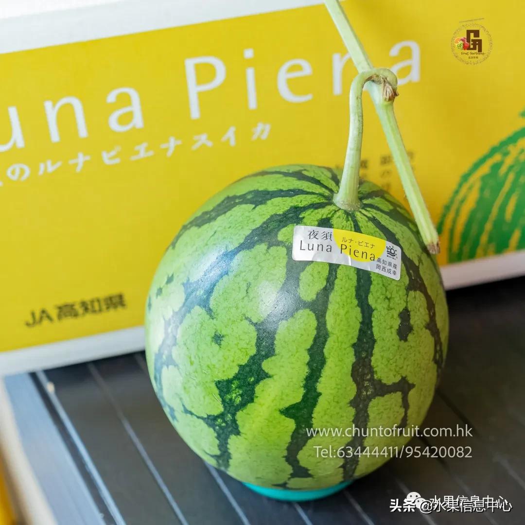 进口水果生意年入千万,批发水果月入百万