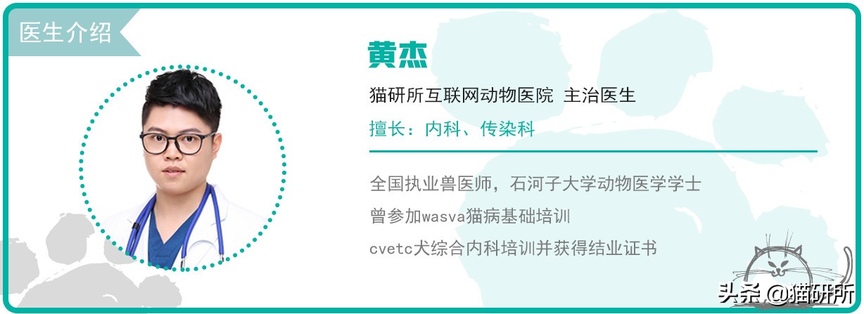 猫咪呕吐一般是什么原因导致的,导致猫咪呕吐的3大原因