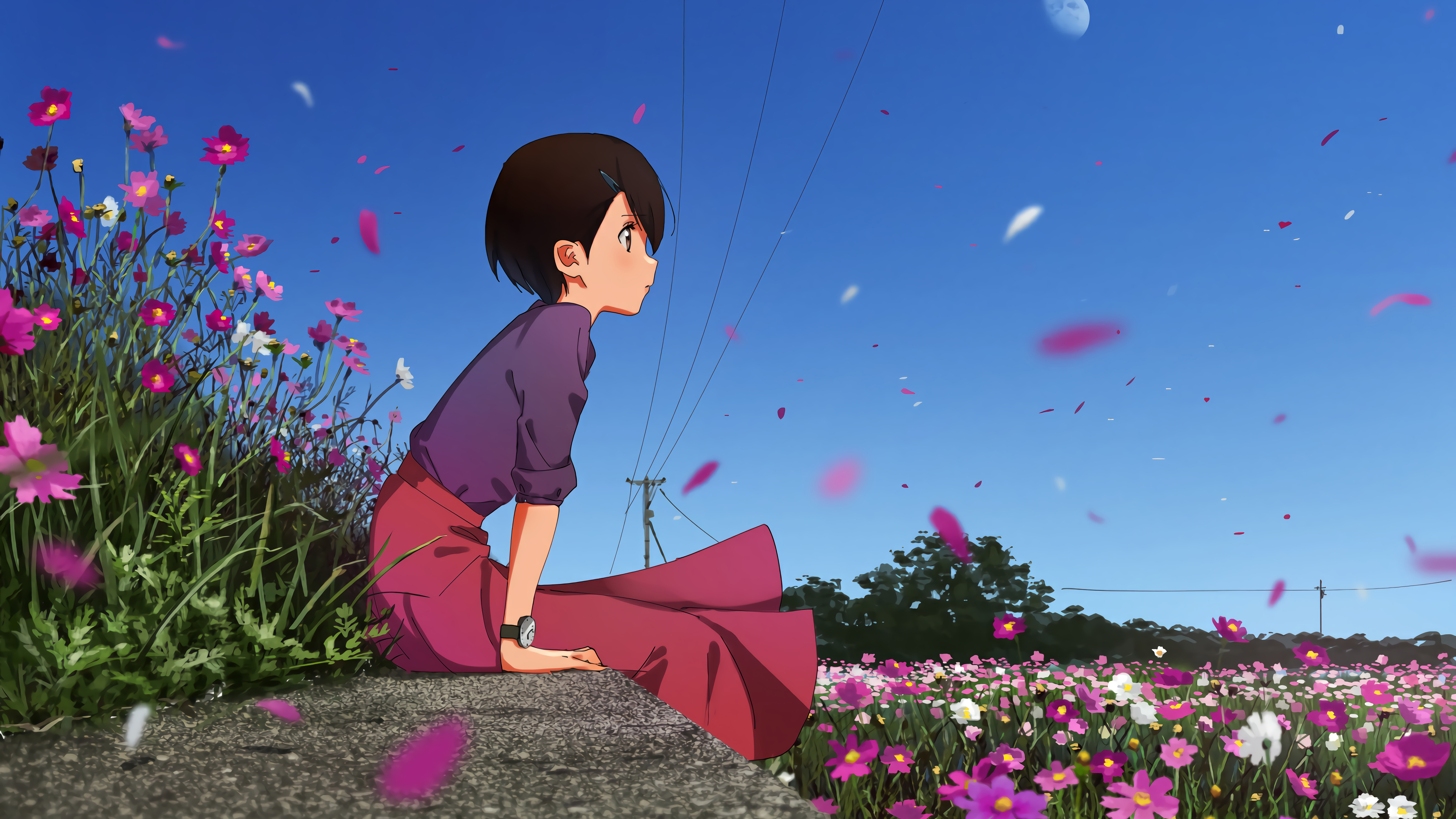 桌面壁纸中国风动漫剑客美女,电脑桌面壁纸动漫狐狸高清全屏