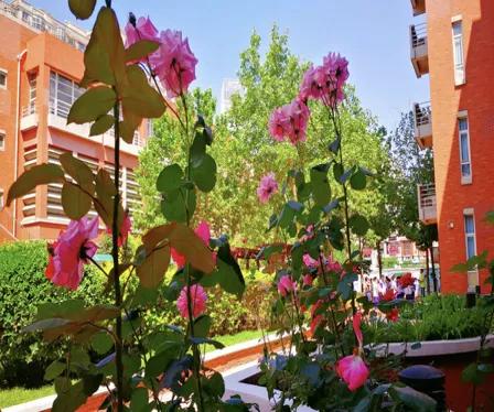 天津高级中学,天津市第二南开中学录取分数线