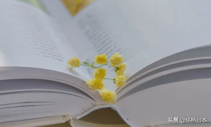 日语口语必背30句短语,日语常用口语55句合集