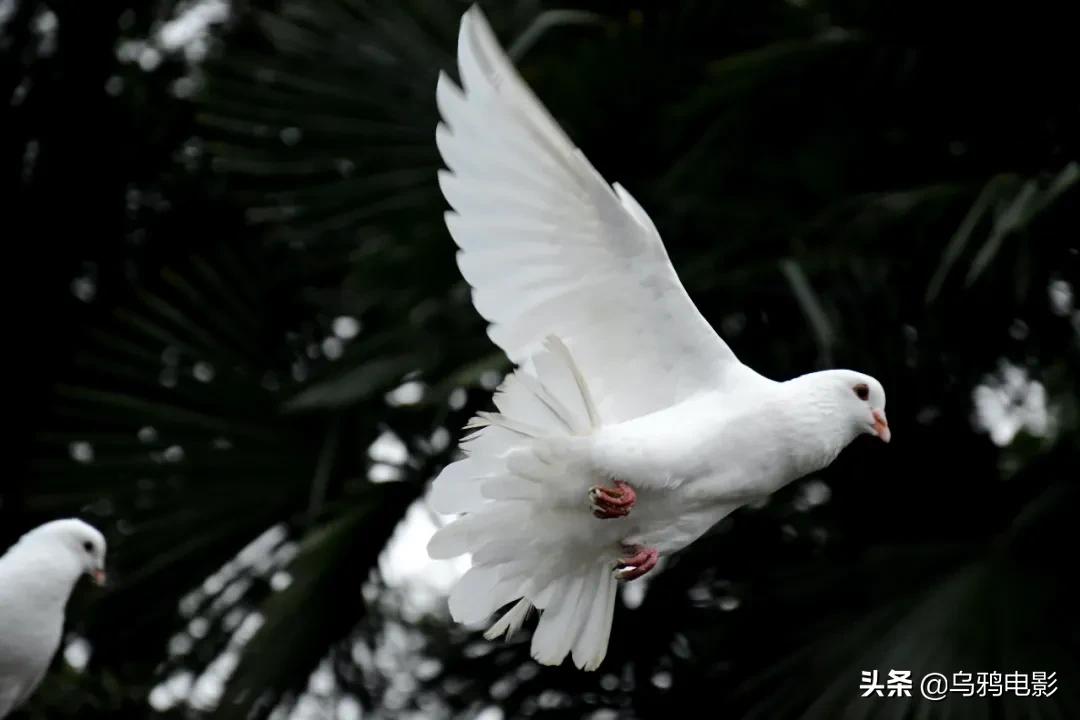 太硬核了全场高能视频,太硬核了全场高能
