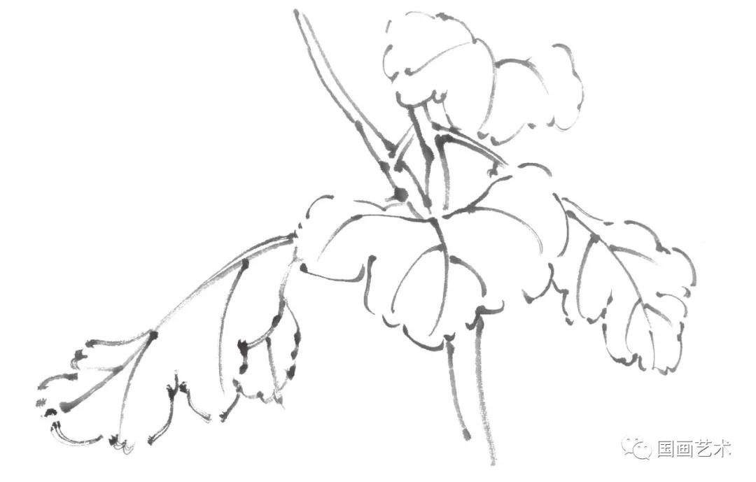 国画写意菊花龙爪菊,写意菊花画法教程简单