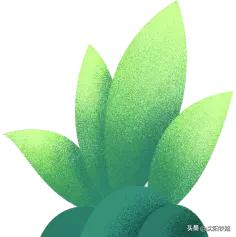 辽宁草原旅游列车,辽宁高铁首次去草原的消息