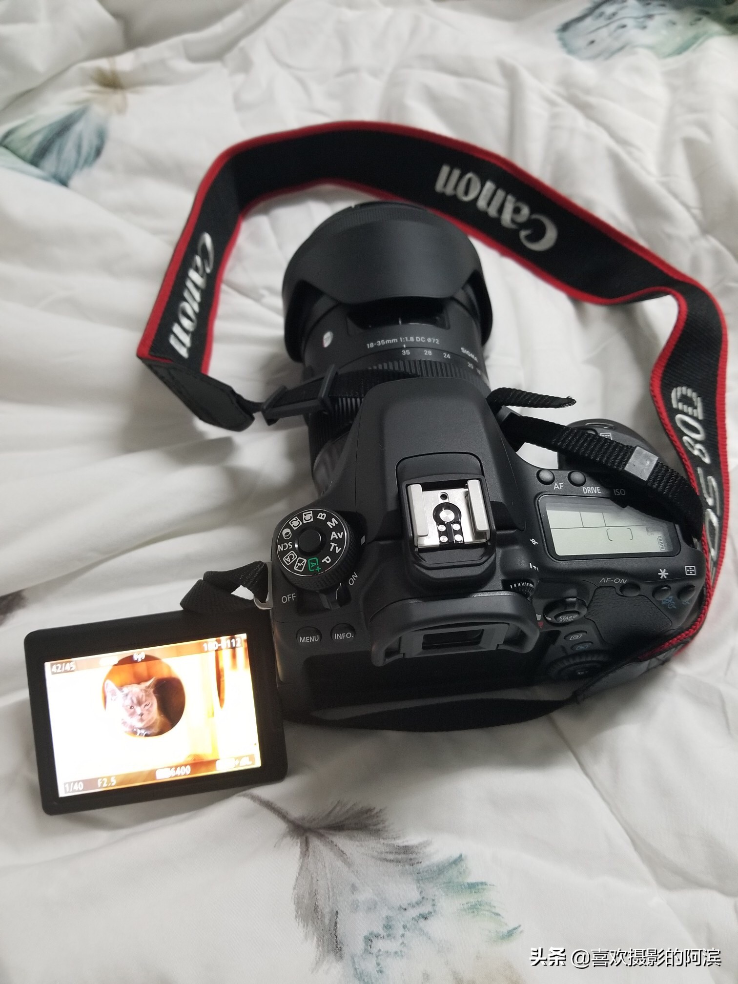 佳能80d画质选择哪档好,佳能80d出图