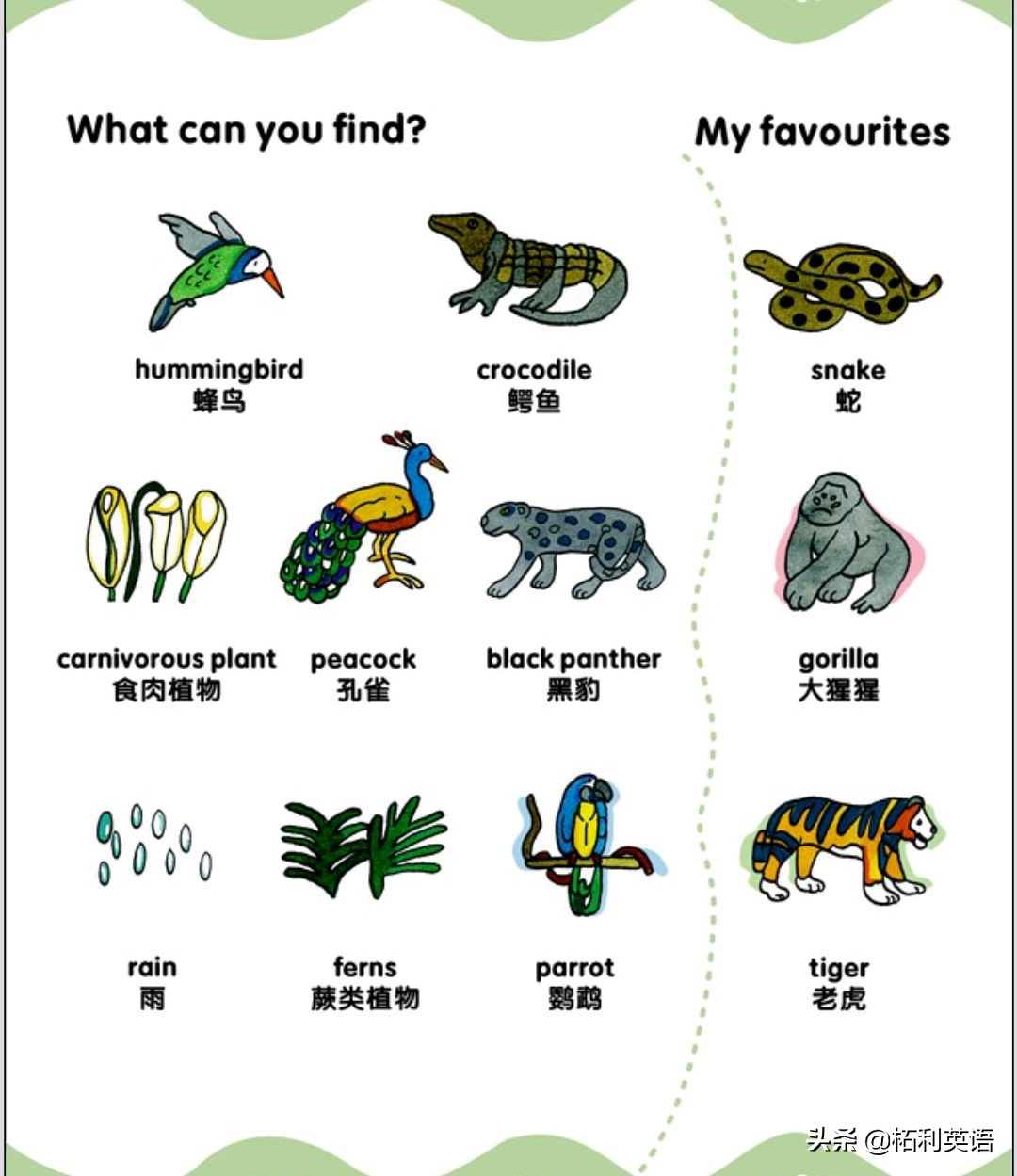 生活中常用的3000个英语单词短语,生活英语单词谐音大全