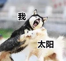 别争了，四川人内定了2021这个第一！