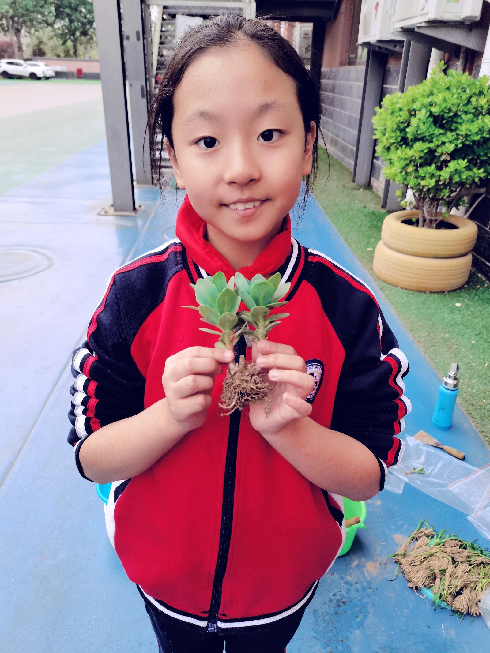 邯郸智考小学口碑,邯郸市智考小学教学质量怎么样