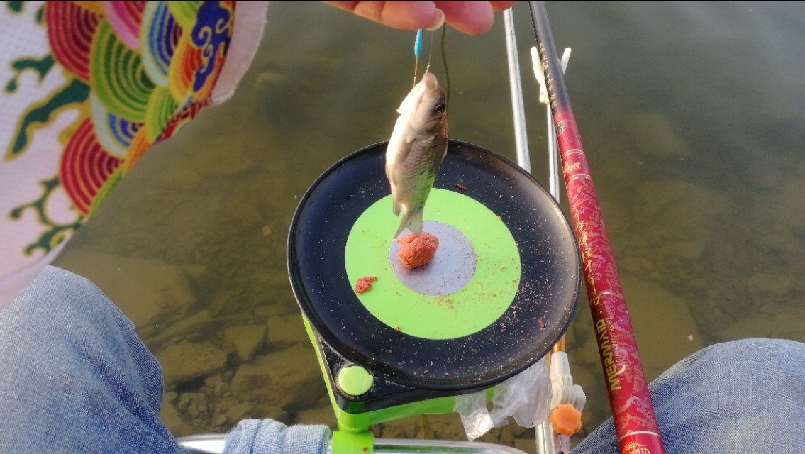 钓鱼遇小鱼闹窝怎么办,钓鱼遇小鱼闹窝用什么饵料最好