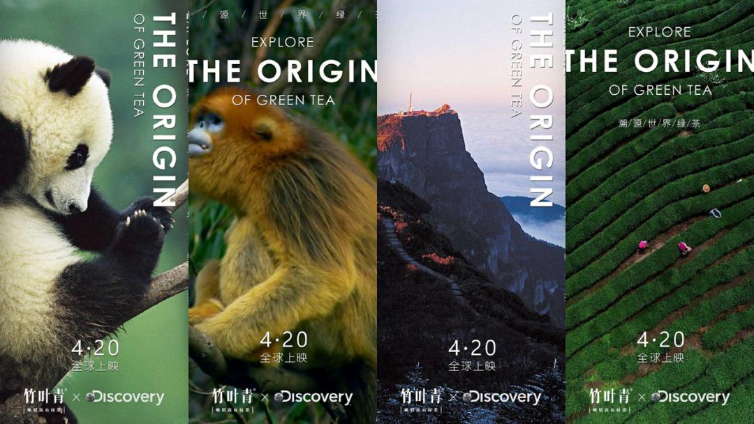 数万茶企却无知名品牌，竹叶青如何*局破**？