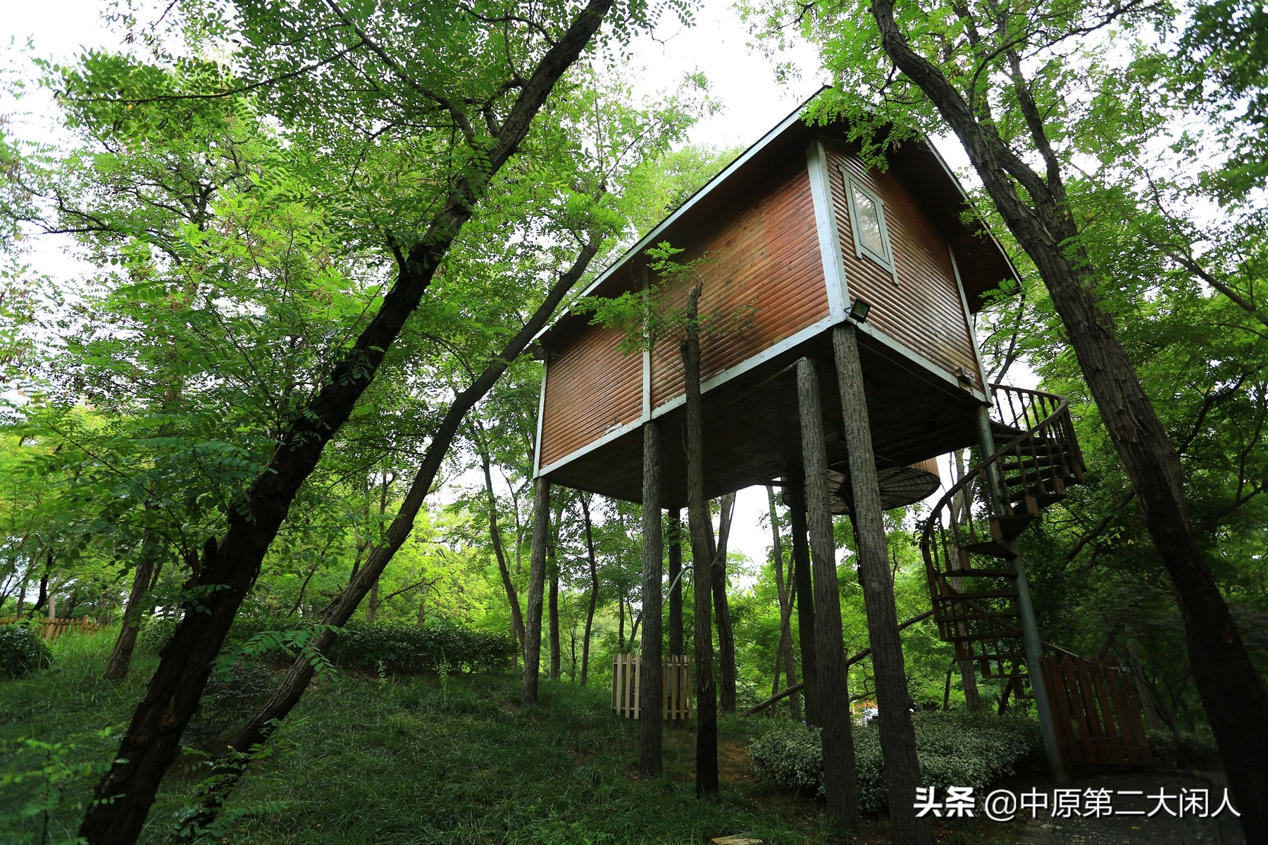 郑州中牟县雁鸣蟹岛,河南郑州市中牟雁鸣蟹岛景区