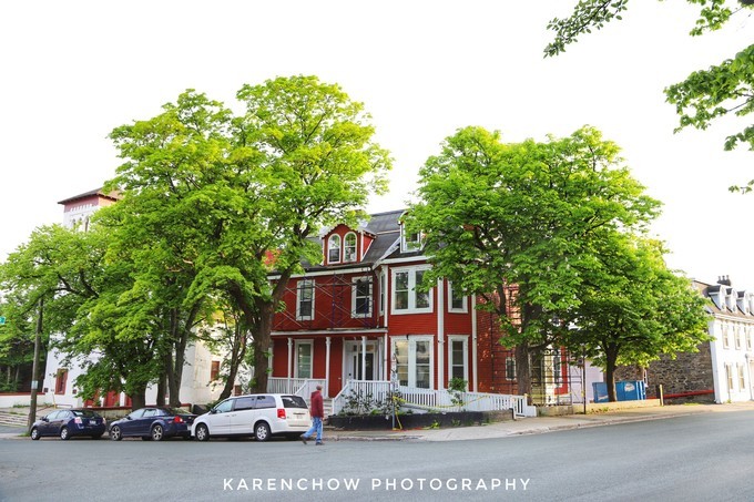 加拿大小众旅游目的地,加拿大纽芬兰自驾旅游