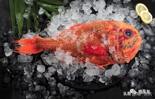 各国海鲜大盘点,今年过年最值得入手的海鲜