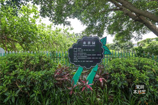 世界花卉大观园遛娃好去处,大观园遛娃攻略