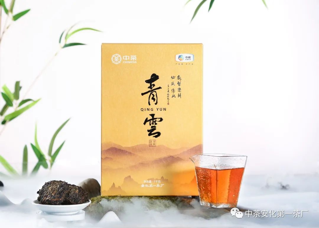 黑茶品鉴会,中茶陈年黑茶