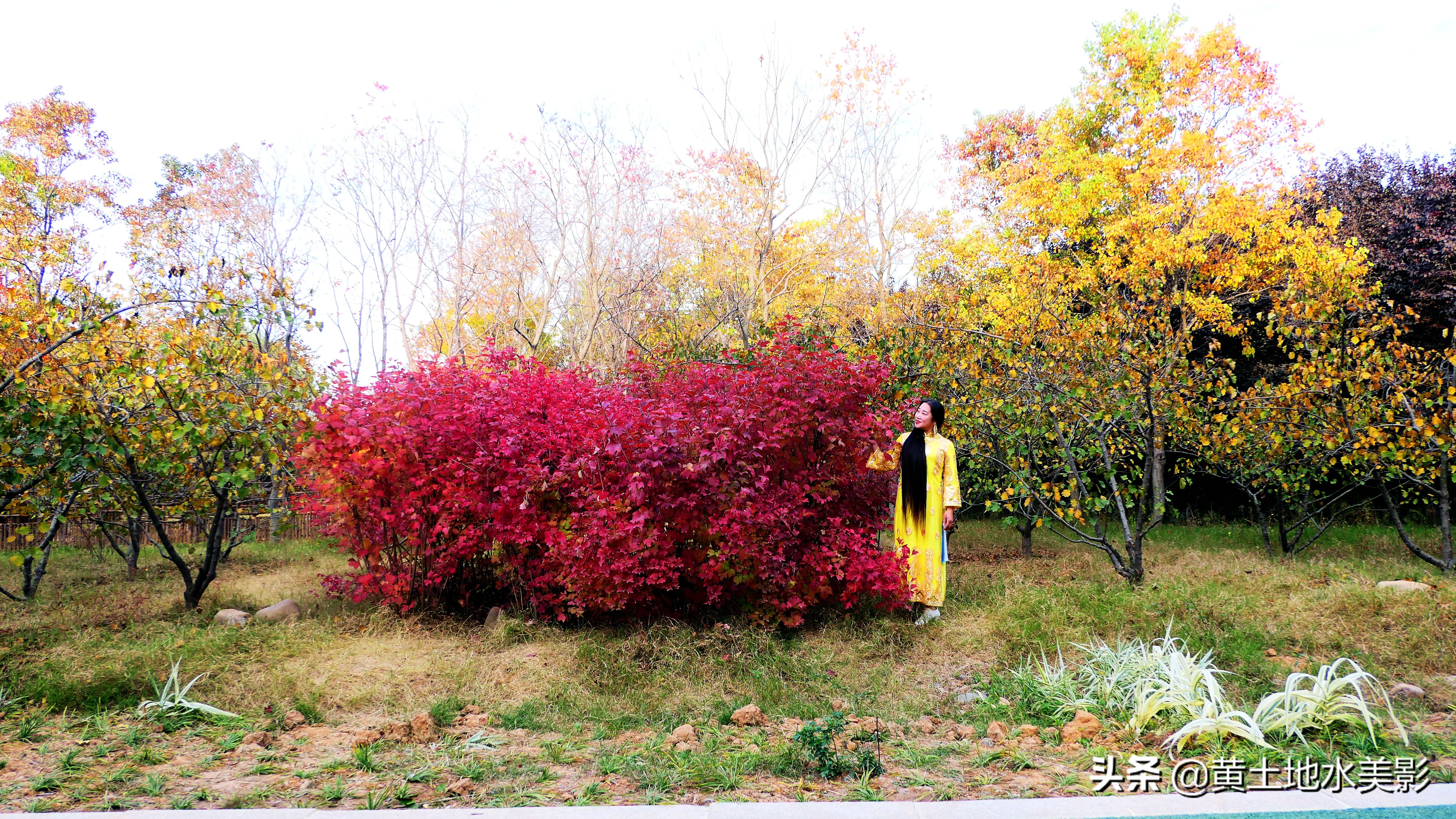 免费游玩东湖公园攻略,免费湿地公园游乐景点