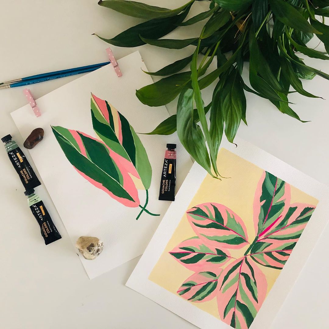 清新水彩手绘花卉插画,高级感的花卉插画