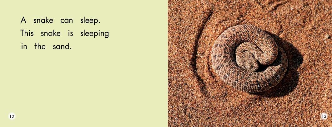 小怪物英语绘本阅读,w字母英语绘本阅读