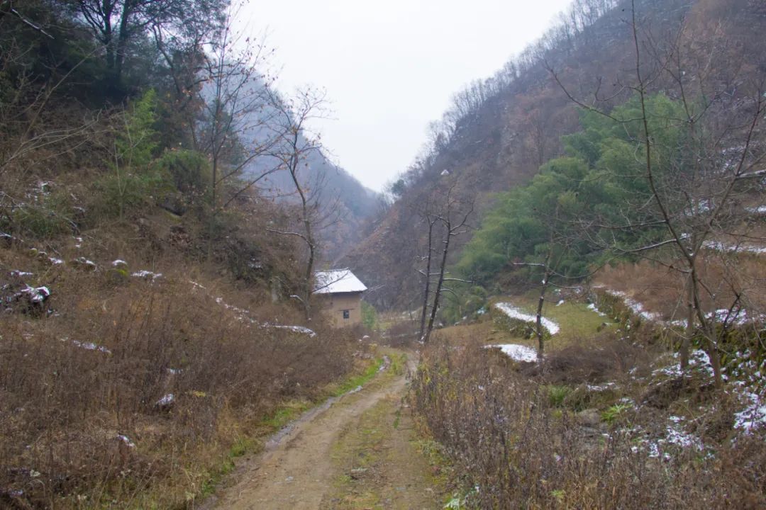 门窗比例不协调，门口出现的东西更不协调，秦岭这栋老房子有故事