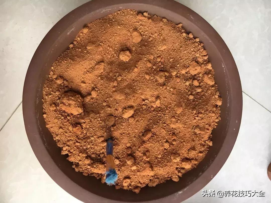 花土是碱性用什么肥,怎么知道花土是酸性还是碱性