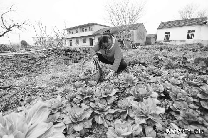 合肥一女子病后留下后遗症，一晒太阳全身就会不适，20年没有见过太阳
