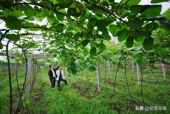 三农领域为什么这么难做,三农对农业发展有什么重要性