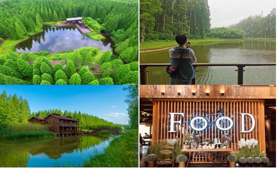 黄海国家森林公园景色,冬季黄海国家森林公园