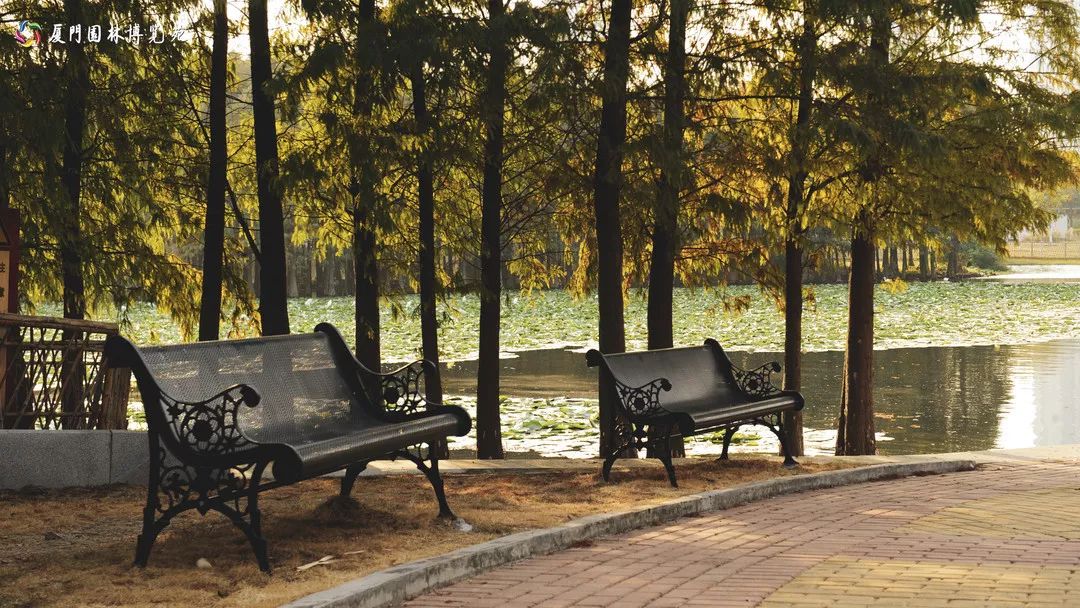 速来!园博苑有让*欲人**罢不能的季相变化之美,还有众多萌物陪伴你~