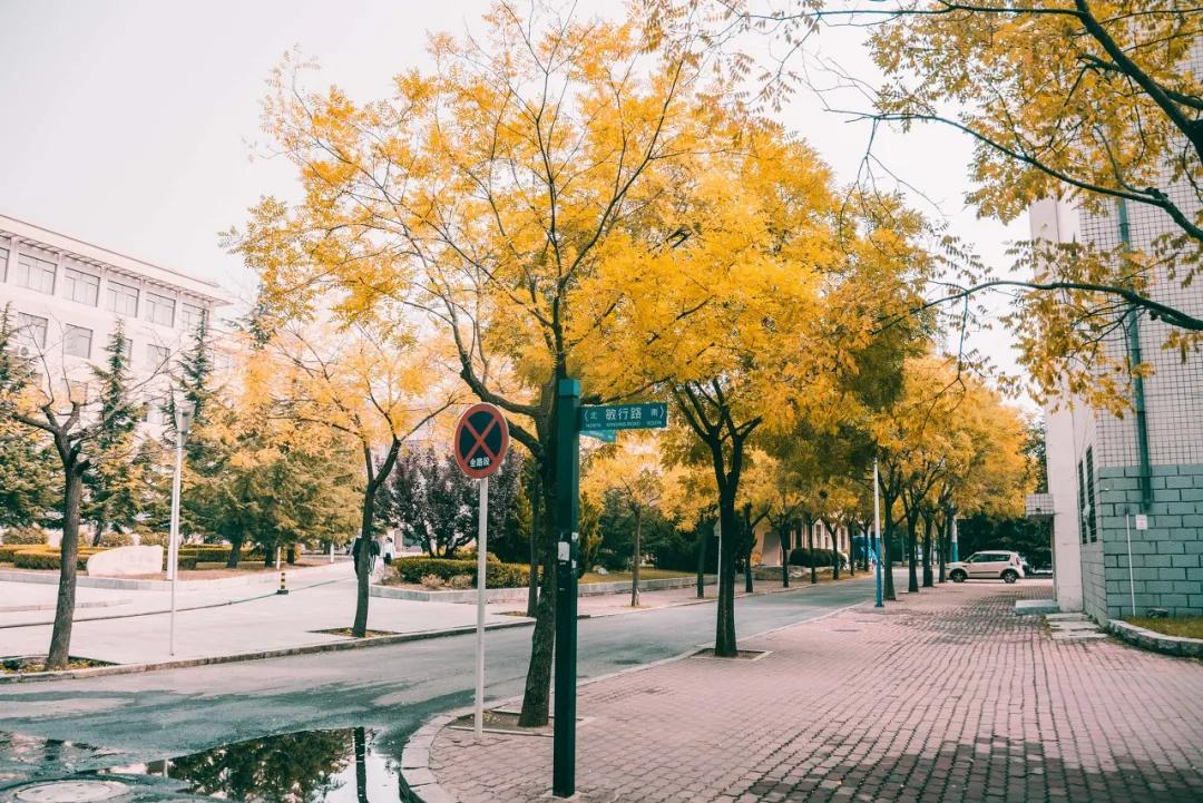 大连是座浪漫的城市,大连这座城市真的好美
