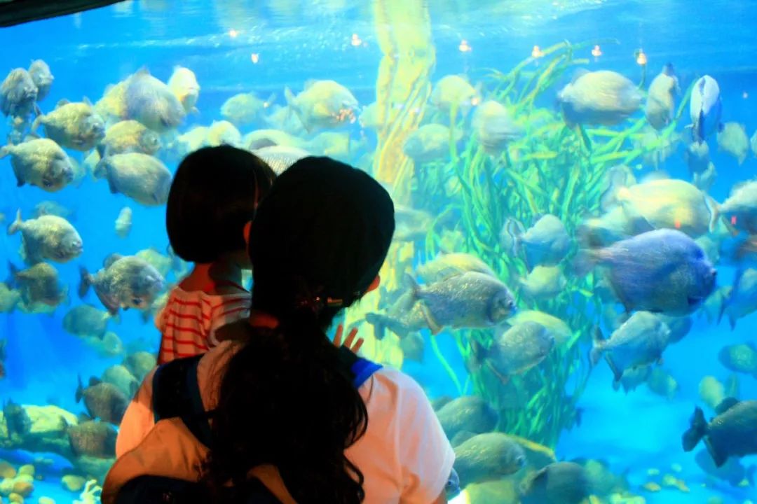 成都宝妈:孩子征服世界的第一站