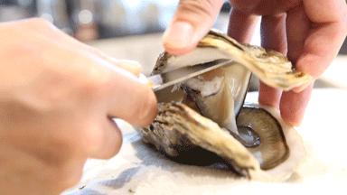 吉娜朵松子料理:在全面营业的日料店里,蚝自由地吃起来