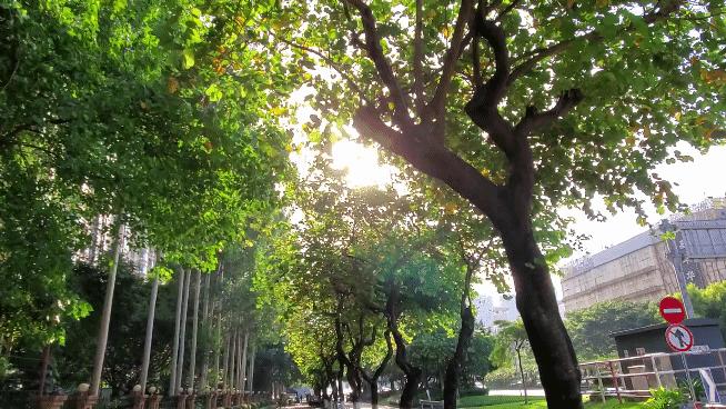 小而精视频,三星galaxys10e评测