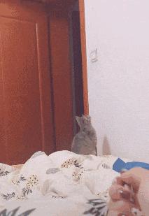 路边的现金及东西不要乱捡,在路边捡到钱但村里老人说不能捡