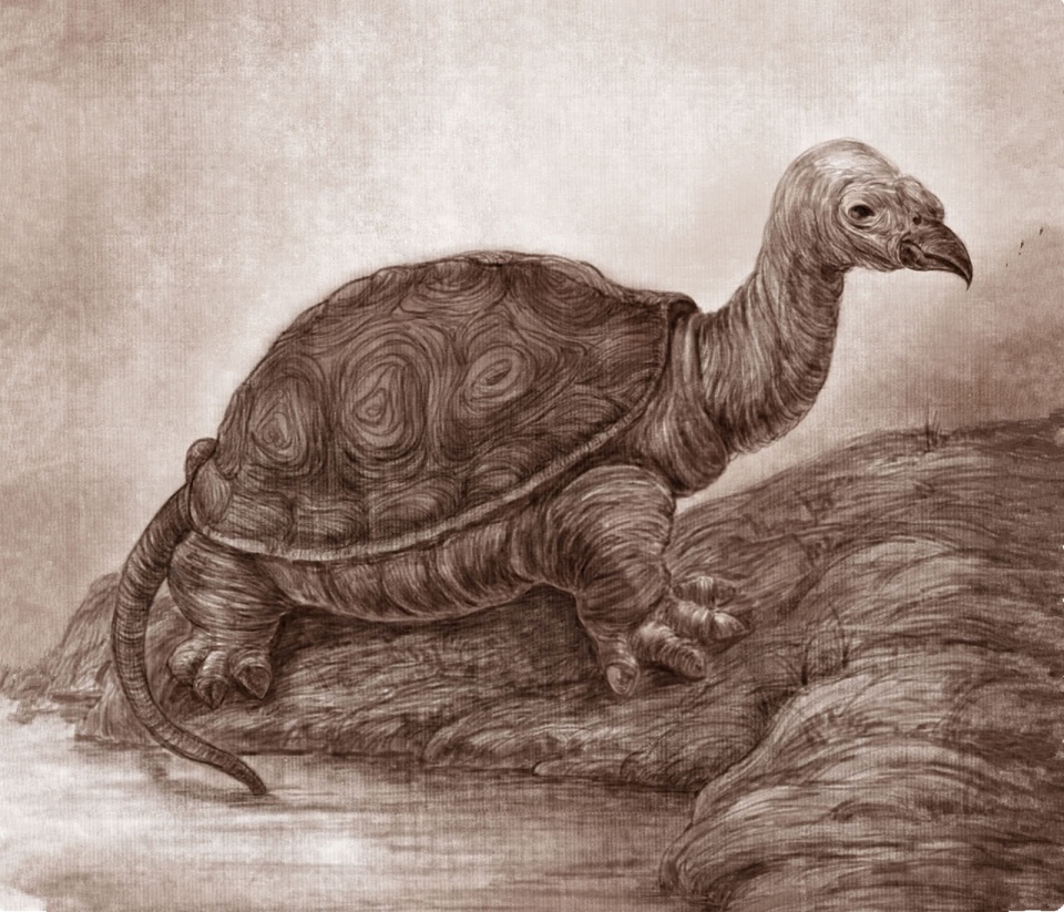 四大神兽中的玄武是龙吗,四大神兽玄武是不是邪恶的神兽