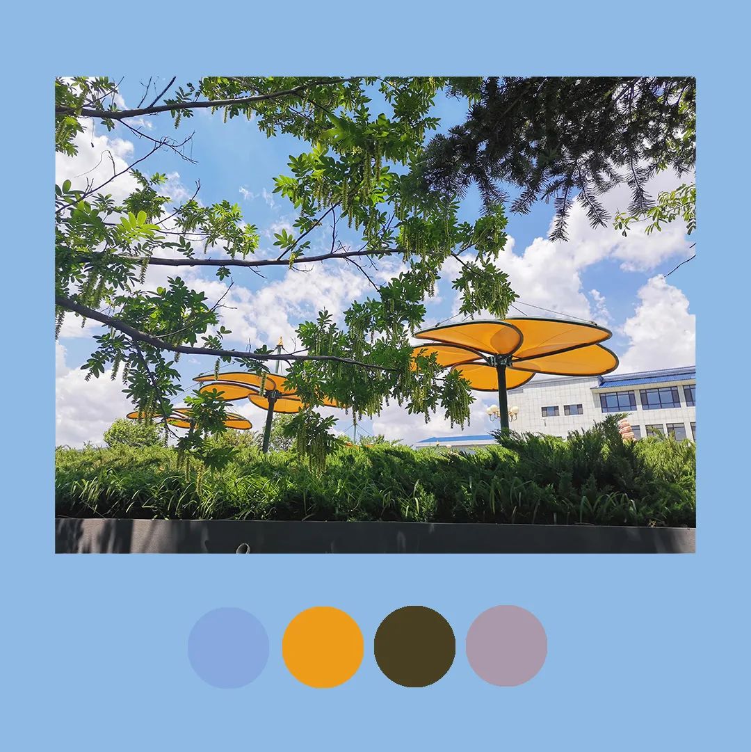 色彩里的构图,色彩中的光感