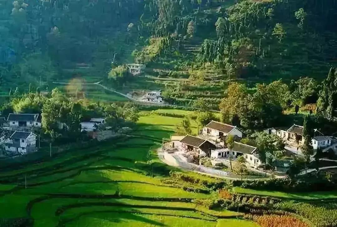 2020清远农业补贴一览表,农村老干部补贴新政策2020