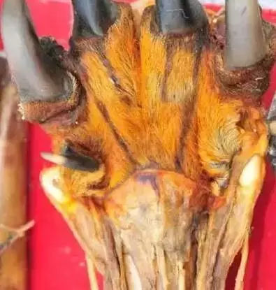 逛古玩市场有什么好玩的,逛古玩市场要注意有什么套路