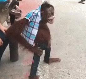 动图来袭:到了14分钟时,弹簧终于掉下来了