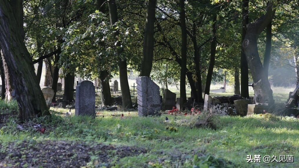 国外诈尸事件,世界上有没有诈尸事件