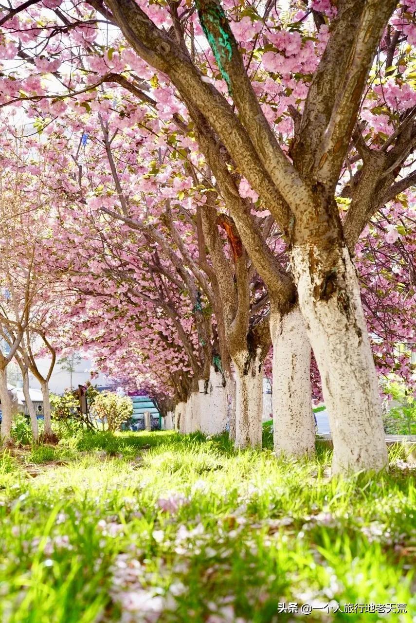 清明旅游一日游攻略,清明旅游三日游攻略