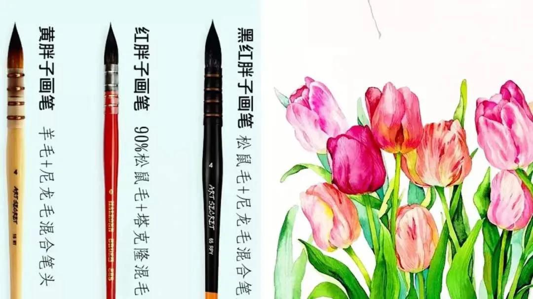 水彩画怎么使用颜料,水彩画的水彩颜料怎么选