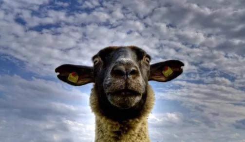 查不到物流信息是不是被骗了,查不到快递是虚假发货吗