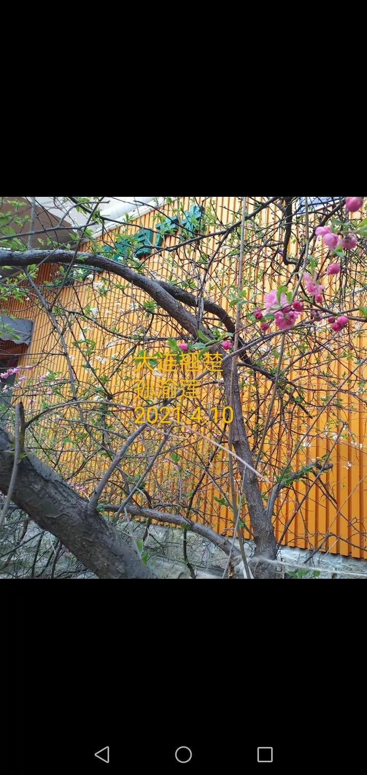 大连沙河口区二手房最新房源,大连沙河口区